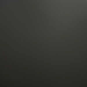 Meet your Posher, Selena